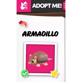 ARMADILLO NFR