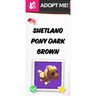 Shetland Pony Dark Brown MFR 