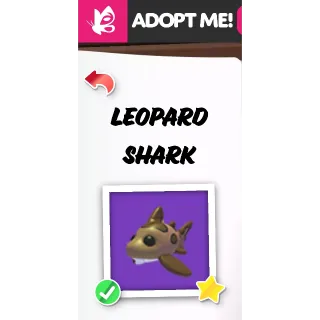 LEOPARD SHARK NFR