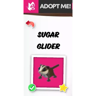 Sugar Glider NFR ADOPT ME PETS