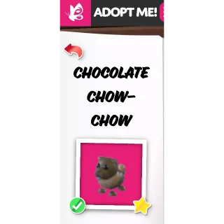 Chocolate Chow Chow FR