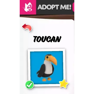 Toucan MFR ADOPT ME PETS