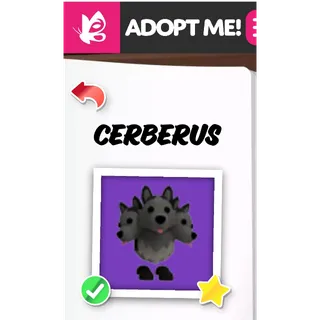 CERBERUS NFR