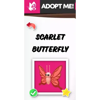 SCARLET BUTTERFLY FR