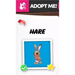 HARE