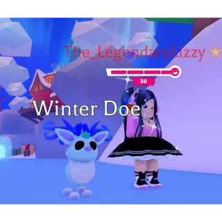 winter doe MFR ADOPT ME PETS