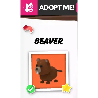 BEAVER NFR