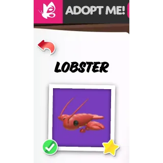 LOBSTER NFR