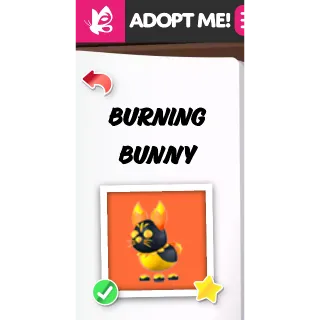 Burning Bunny NFR