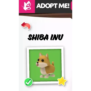 Shiba Inu nfr