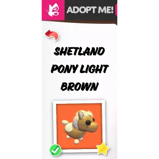 SHETLAND PONY LIGHT BROWN NFR