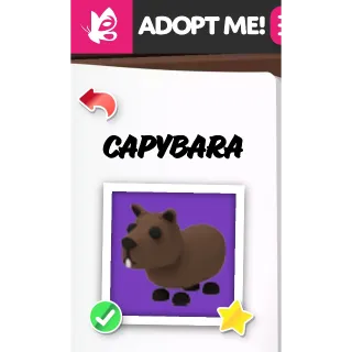 Capybara NFR ADOPT ME PETS