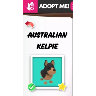 AUSTRALIAN KELPIE MFR