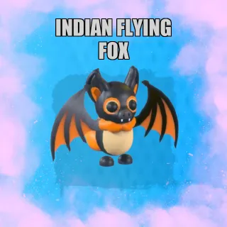 indian flying fox MFR