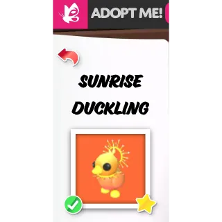 Sunrise Duckling FR