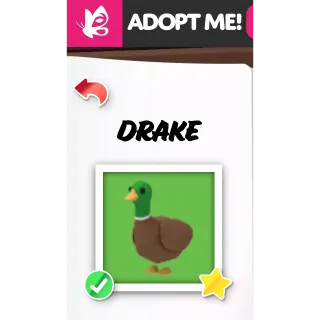 Drake MFR ADOPT ME PETS