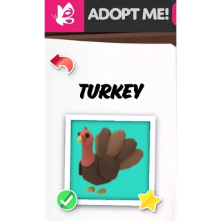 Turkey FR ADOPT ME PETS