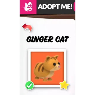 GINGER CAT MFR ADOPT ME PETS