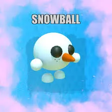 SNOWBALL PET NFR