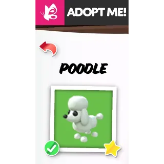 POODLE NFR ADOPT ME PETS