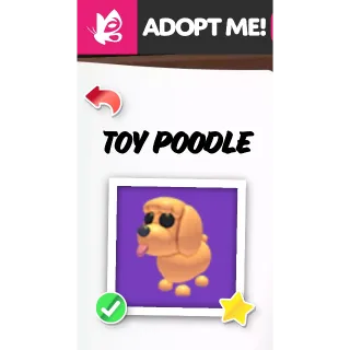 Toy Poodle NFR ADOPT ME PETS