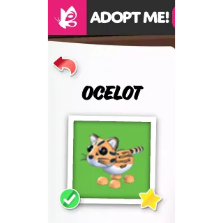 OCELOT NFR ADOPT ME PETS