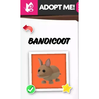 BANDICOOT NFR