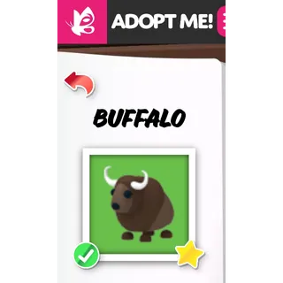 Buffalo NFR