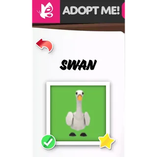 Swan NFR ADOPT ME PETS