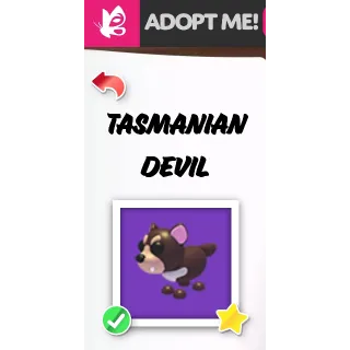 TASMANIAN DEVIL FR