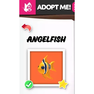 ANGELFISH MFR