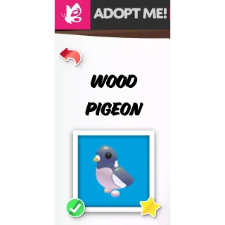 Wood Pigeon FR