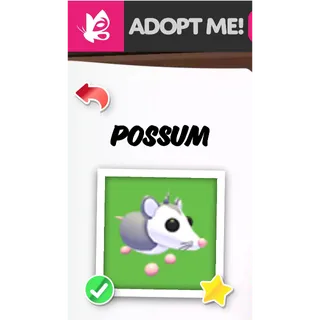 POSSUM MFR ADOPT ME PETS