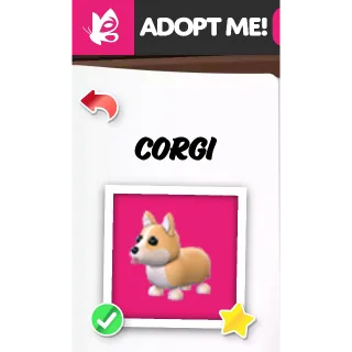 Corgi FR