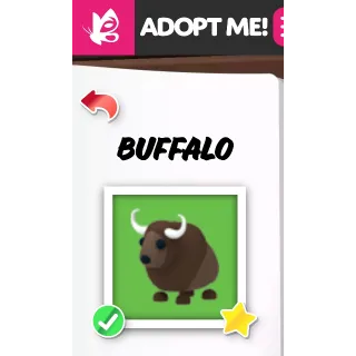 Buffalo NFR