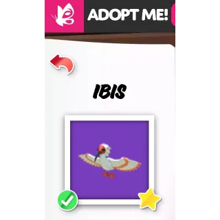 IBIS NEON NFR ADOPT ME