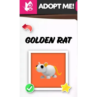 GOLDEN RAT FR