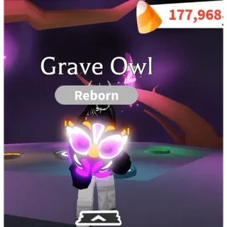 grave owl MFR