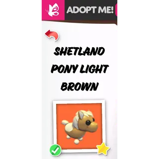 SHETLAND PONY LIGHT BROWN NFR