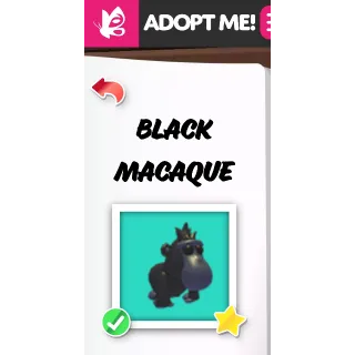 Black Macaque FR