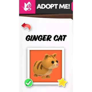 GINGER CAT NFR ADOPT ME PETS