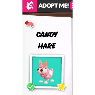 Candy Hare NFR