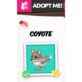 Coyote FR ADOPT ME PETS