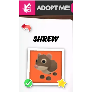 Shrew NFR ADOPT ME PETS