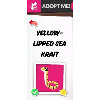 Yellow Lipped Sea Krait NFR