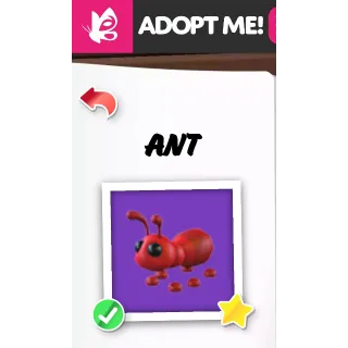 ANT NFR ADOPT ME PETS