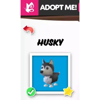 HUSKY FR ADOPT ME PETS