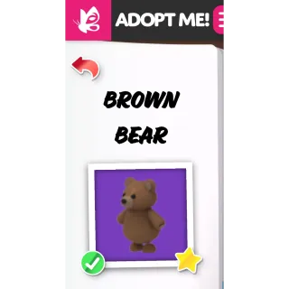 NEON BROWN BEAR NFR