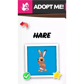 HARE FR