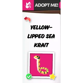 Yellow Lipped Sea Krait MFR